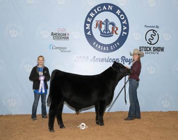 Reserve Junior Bull Calf Champion