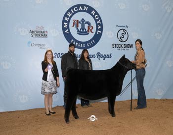 Reserve Early Junior Heifer Calf Champion