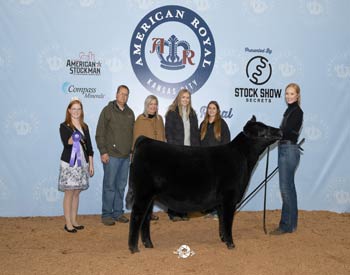 Late Junior Heifer Calf Champion