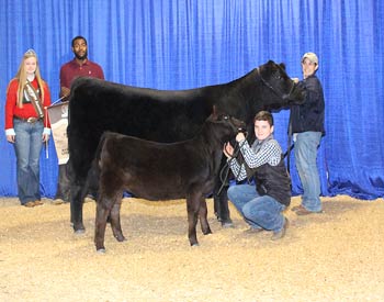 Owned Senior Champion Female