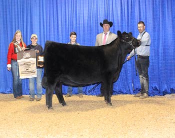 Reserve Grand Champion Owned Female