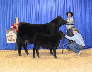 Owned Reserve Junior Champion Heifer