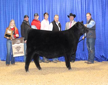 Grand Champion Owned Female