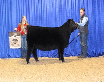 Owned Junior Heifer Calf Champion