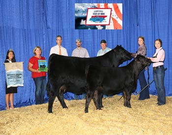 Reserve Grand Champion Cow-calf Pair