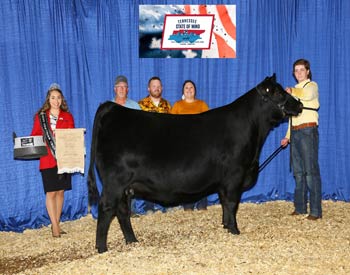 Reserve Senior Heifer Champion