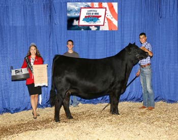 Late Senior Heifer Champion