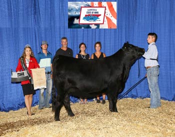 Early Senior Heifer Champion