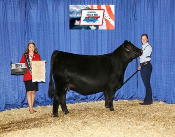 Reserve Late Senior Heifer Champion
