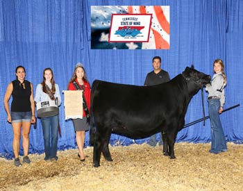 Bred-and-owned Reserve Senior Champion Female