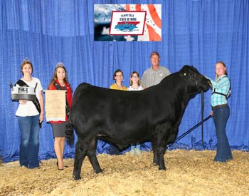 Bred-and-owned Reserve Junior Champion Bull