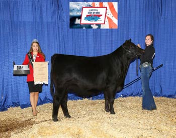Owned Reserve Late Junior Champion Heifer