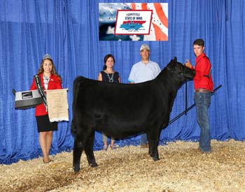 Owned Early Intermediate Champion Heifer