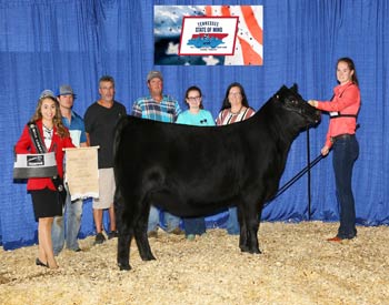 Owned Late Junior Champion Heifer