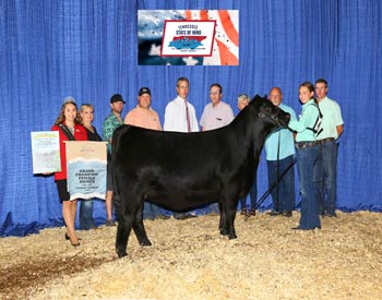 Grand Champion Owned Female