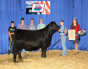 Bred-and-owned Reserve Junior Champion Heifer