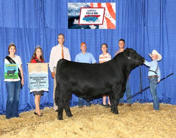 Reserve Grand Champion Bred-and-owned Bull