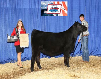 Owned Reserve Late Intermediate Champion Heifer