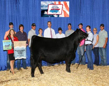 Reserve Grand Champion Owned Female