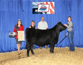 Bred-and-owned Reserve Intermediate Champion Heifer