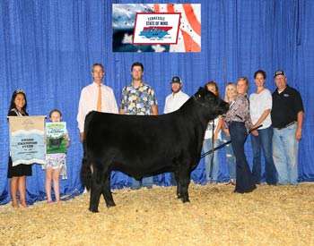 Grand Champion Steer
