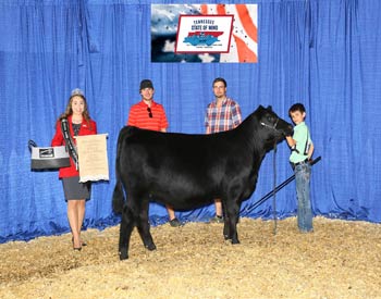Bred-and-owned Intermediate Champion Heifer