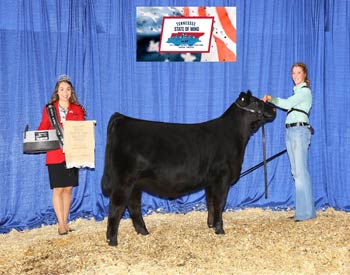 Reserve Early Senior Heifer Calf Champion