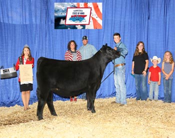 Early Senior Heifer Calf Champion