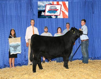 Reserve Grand Champion Steer