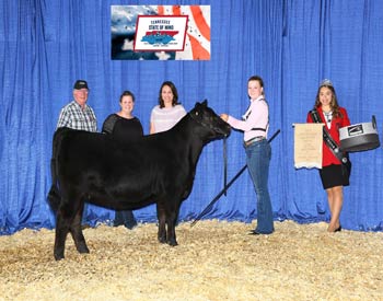 Late Senior Heifer Calf Champion