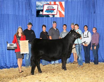 Bred-and-owned Reserve Early Senior Heifer Calf Champion