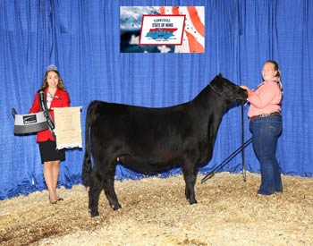 Owned Late Intermediate Champion Heifer