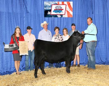 Bred-and-owned Late Senior Heifer Calf Champion