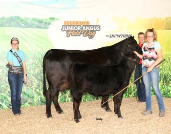 Reserve Grand Champion Cow-calf Pair