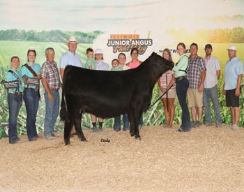 Reserve Grand Champion Owned Female