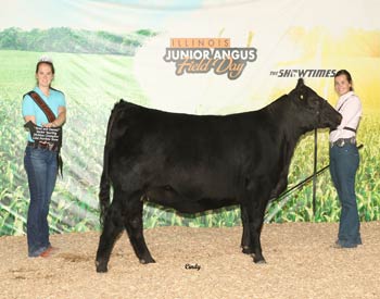 Bred-and-owned Senior Champion Female