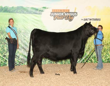Bred-and-owned Reserve Senior Champion Female