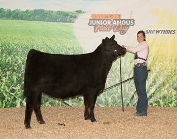 Owned Reserve Early Junior Champion Heifer