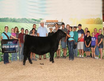 Grand Champion Bred-and-owned Female
