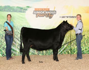 Bred-and-owned Intermediate Champion Heifer