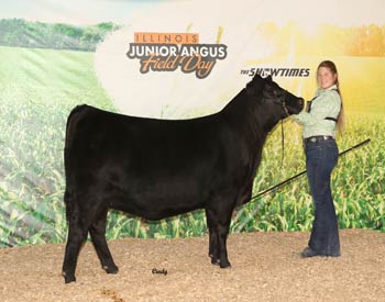 Owned Reserve Late Junior Champion Heifer