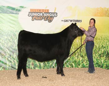 Owned Late Junior Champion Heifer