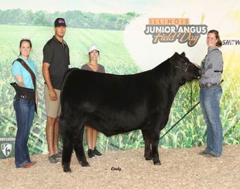 Grand Champion Steer