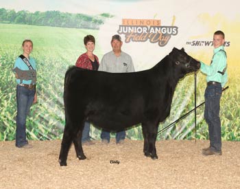 Owned Reserve Intermediate Champion Heifer