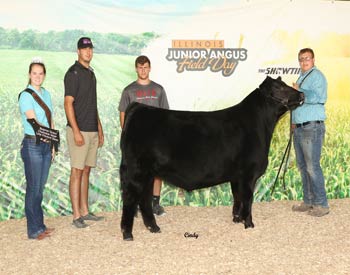 Reserve Grand Champion Steer