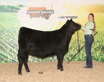 Owned Intermediate Champion Heifer