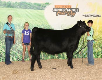 Bred-and-owned Reserve Intermediate Champion Heifer