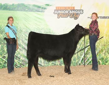 Owned Reserve Senior Heifer Calf Champion