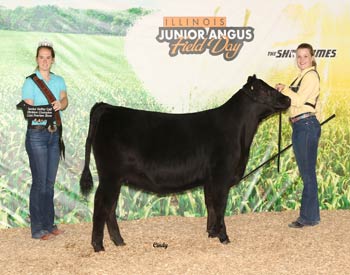 Owned Senior Heifer Calf Champion