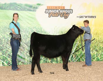 Bred-and-owned Senior Heifer Calf Champion